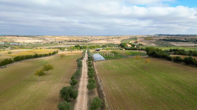 Foto ce8107a7-b0c2-4447-95ad-751fdb06edf8. Finca rústica a Batres