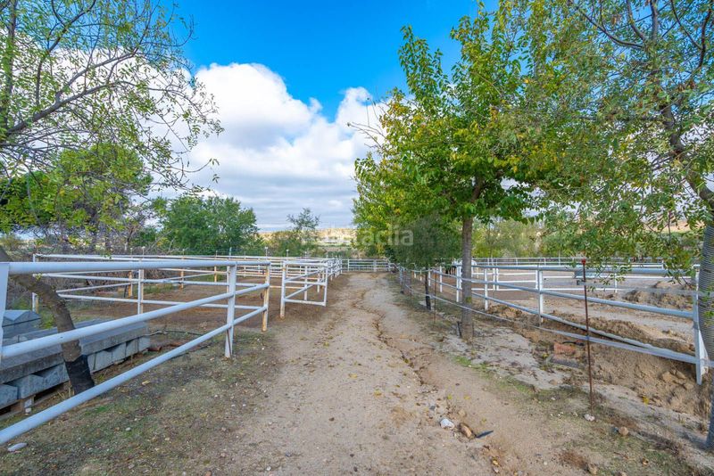 Foto ff29c855-1f40-477e-99f5-8c203638b23f. Finca rústica a Batres