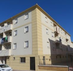 Pis  Olivar monjas. En ronda