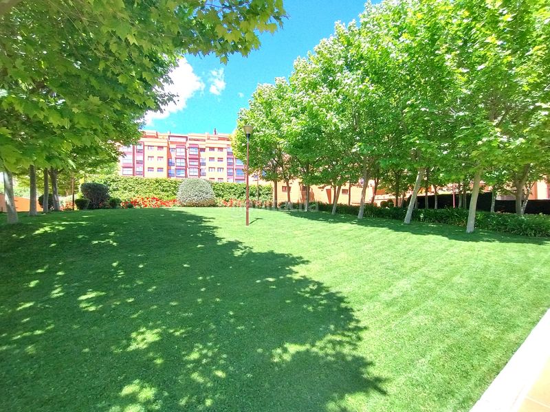 Foto bac1c9ae-ab0f-41d9-b01e-8e03219c3675. Àtic amb piscina a Las Tablas Madrid
