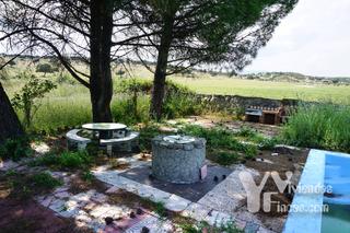 Finca rstica en Camino robledo de chavela 111. Finca para caballos, vivero, camping, junto a la carretera, pozo