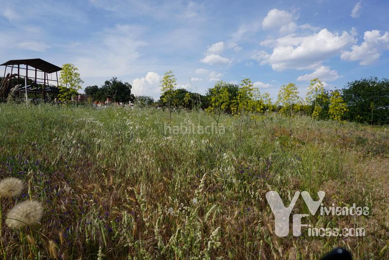 Foto 3e768e94-d8e6-40a6-aab9-441aad4045b7. Landgut in n/a in Valdemorillo pueblo Valdemorillo