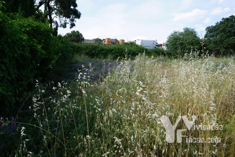 Foto 88de38b0-cb10-4edb-99c7-3a7f09f52ec6. Landgut in n/a in Valdemorillo pueblo Valdemorillo