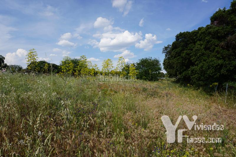 Foto b14b234f-652b-4448-84f0-a496690c15f3. Landgut in n/a in Valdemorillo pueblo Valdemorillo