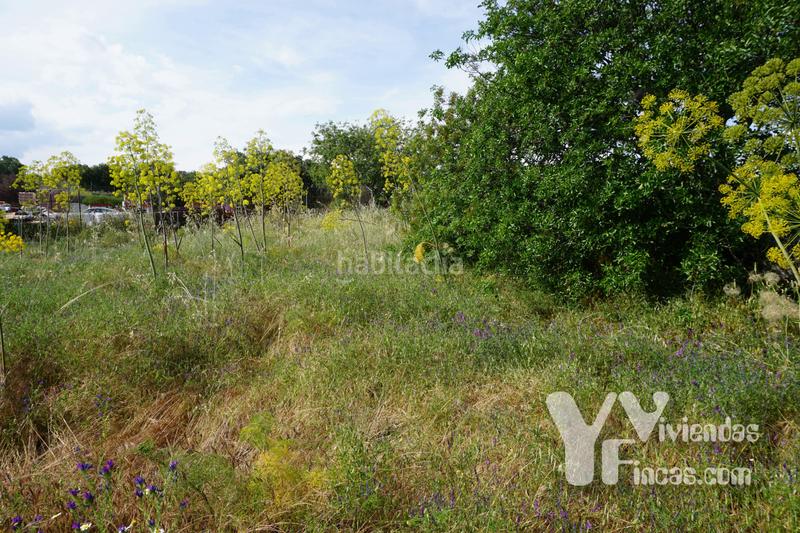 Foto dffb1d61-5653-442a-b5ef-d1830512d24c. Landgut in n/a in Valdemorillo pueblo Valdemorillo