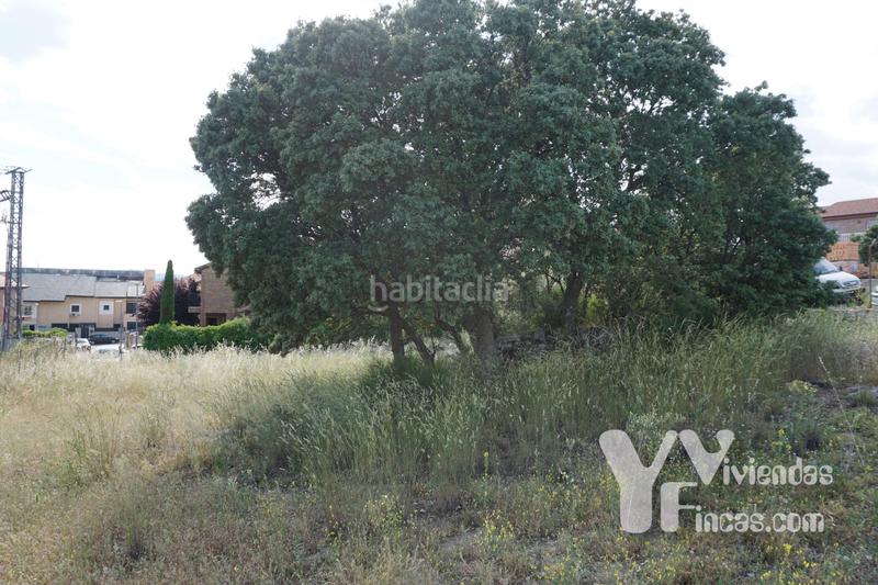 Foto f7b1a75b-b0e0-4629-8f01-29cb10a41d98. Landgut in n/a in Valdemorillo pueblo Valdemorillo