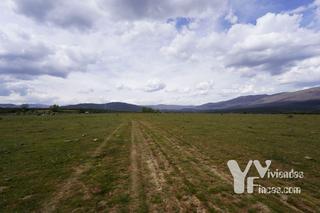 Finca rstica en Calle cortes 1. Venta lote de cuatro fincas rsticas en campillo de ranas, guada
