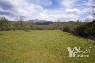 Finca rstica en Calle cortes 1. Venta lote de cinco fincas rsticas en campillo de ranas, guadal