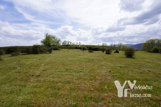 Finca rústica a Calle cortes 1. Venta lote de tres fincas rústicas en campillo de ranas, guadala