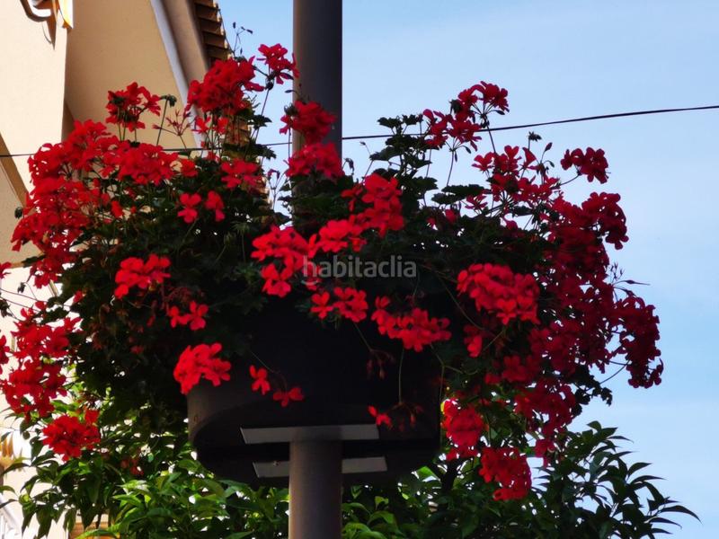 Foto 0bfd6d0b-9d38-4ea3-90d1-00f05fde4e15. Terreny residencial a carrer de la via làctia 28 a Cunit