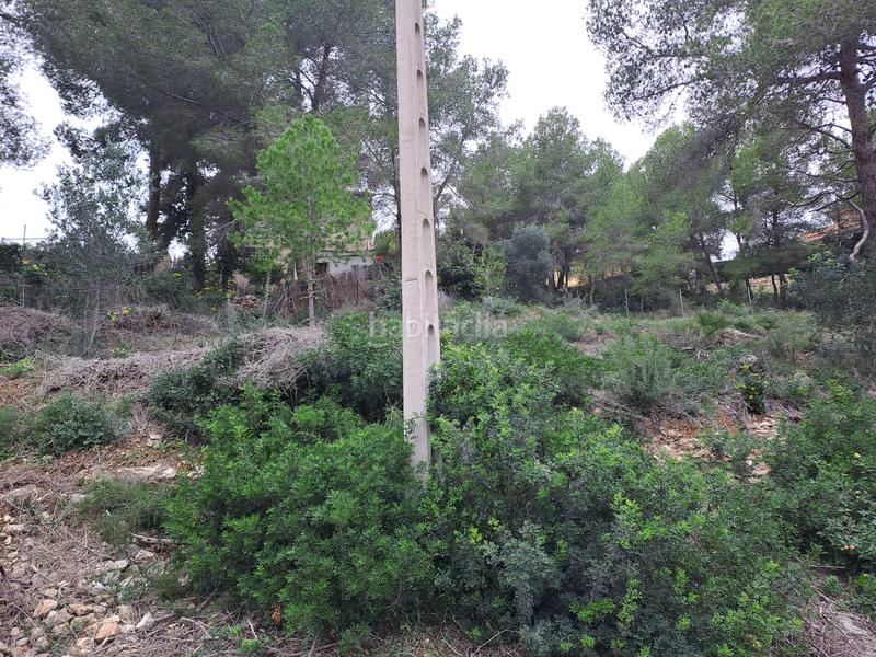 Foto 4d0bb479-4969-4da0-92f9-6d609e8aa98a. Residential plot in carrer farigola 39 in costa Cunit - els jardins - els rosers Cunit