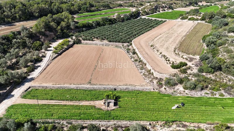 Foto 01eda125-c704-4ecf-9916-d2c7a36f9eb6. Finca rústica en vell de la galera en Vinallop Tortosa