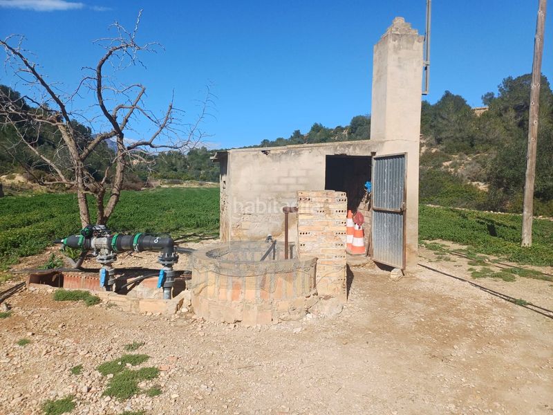 Foto 03d0cd7a-4b6d-4ef5-9024-56aebbe73f63. Finca rústica en vell de la galera en Vinallop Tortosa