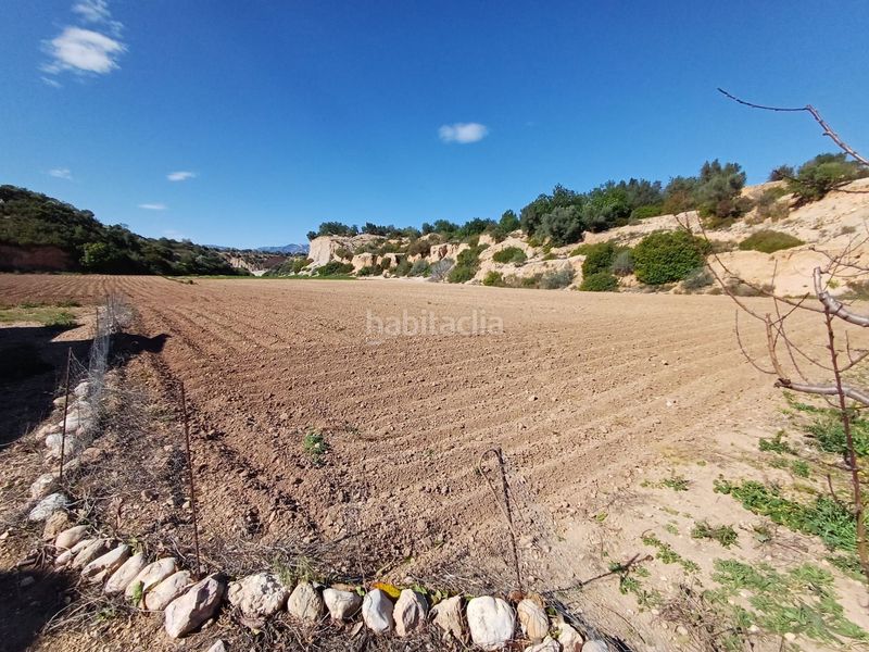 Foto 199f4148-5a58-49f1-b81e-556dc4ce33c7. Finca rústica en vell de la galera en Vinallop Tortosa