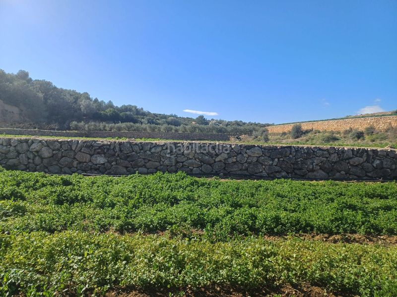 Foto 19f9953d-475c-452c-b03d-19eff30d85ff. Finca rústica en vell de la galera en Vinallop Tortosa