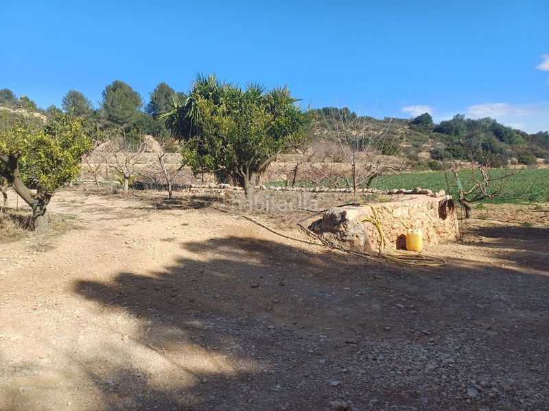 Foto 1bb60d2b-b766-4b25-a069-82fe39fe3331. Finca rústica en vell de la galera en Vinallop Tortosa