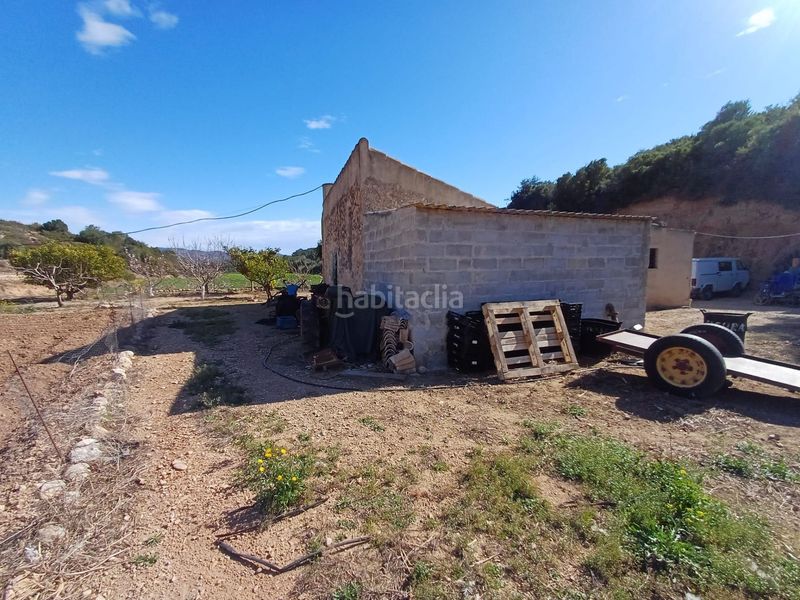 Foto 1c8d583c-4405-4966-af82-71d4e37a9ebf. Finca rústica en vell de la galera en Vinallop Tortosa