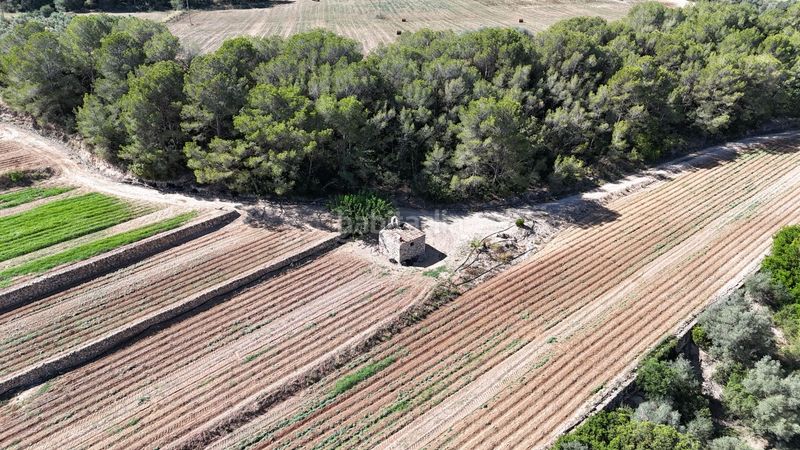 Foto 2c390780-8992-4a93-9649-7979d198b58b. Finca rústica en vell de la galera en Vinallop Tortosa