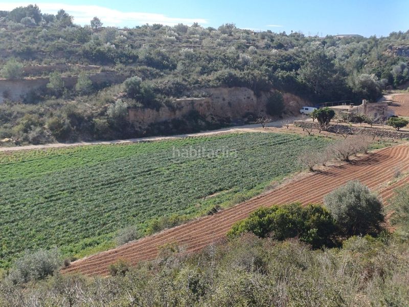 Foto 3a793eaa-042b-41df-82ec-79c0c8886ea7. Finca rústica en vell de la galera en Vinallop Tortosa