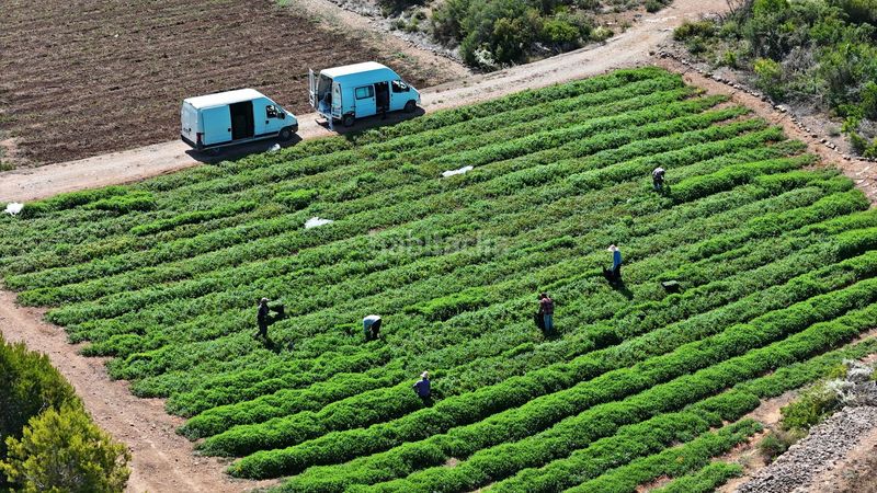Foto 4f0e438d-6b0e-4c05-a11b-926154e245df. Finca rústica en vell de la galera en Vinallop Tortosa