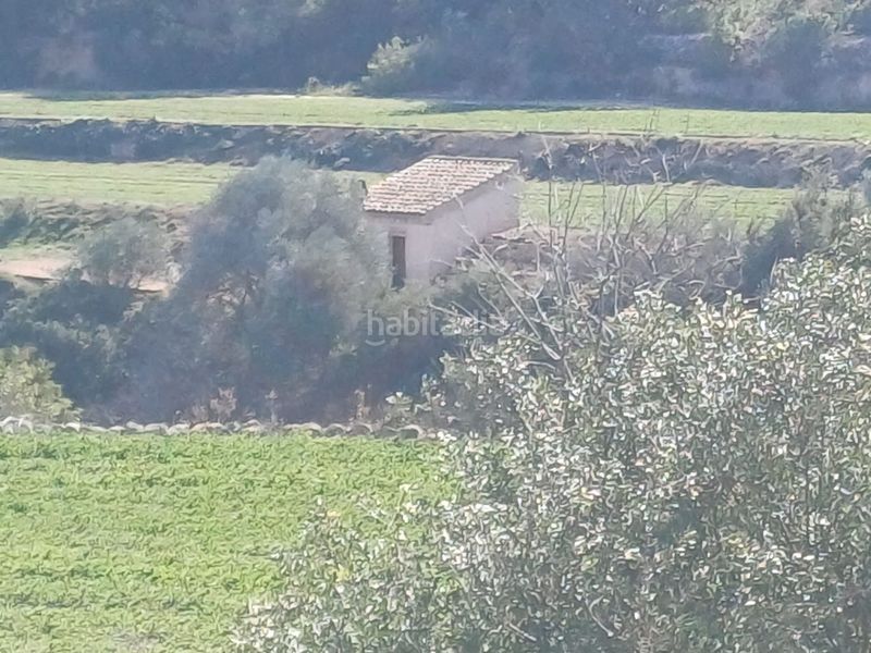Foto 6107eec7-3684-4d1a-a7c0-81cc00094336. Finca rústica en vell de la galera en Vinallop Tortosa