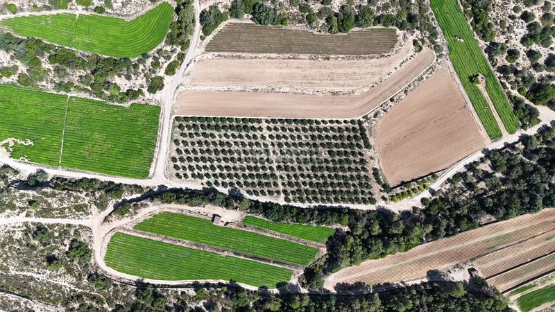 Foto 6f6e0b42-251b-4ebe-8f35-a0ce5bd2c11b. Finca rústica en vell de la galera en Vinallop Tortosa
