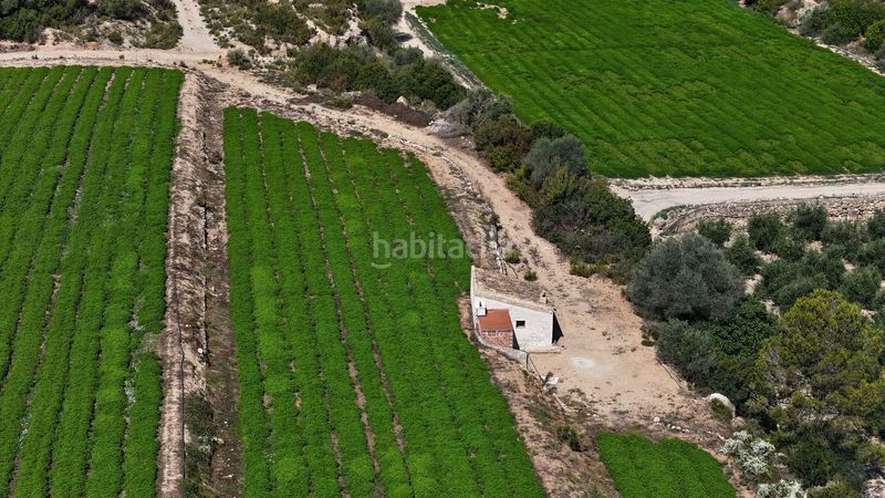 Foto 7857e9d9-93dd-402b-8f06-66f565605ce9. Finca rústica en vell de la galera en Vinallop Tortosa