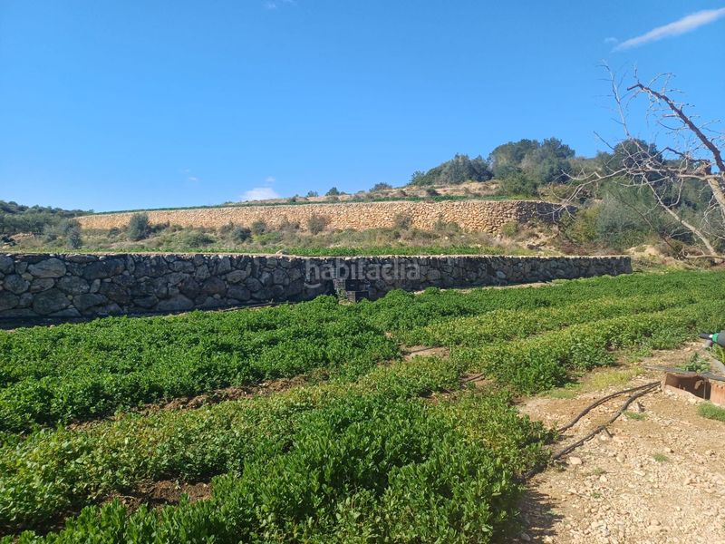 Foto 785f2039-c9c4-489e-8814-42f986b0871d. Finca rústica en vell de la galera en Vinallop Tortosa