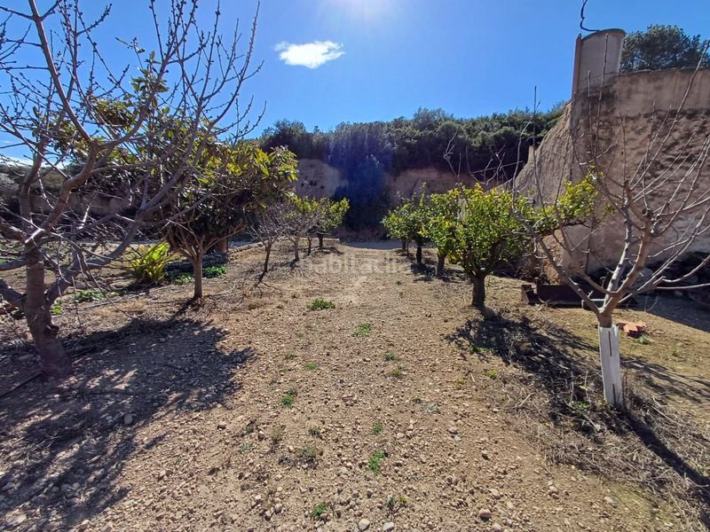 Foto 78fb9e45-8d70-4f7b-88c9-4e4bff88e8c6. Finca rústica en vell de la galera en Vinallop Tortosa