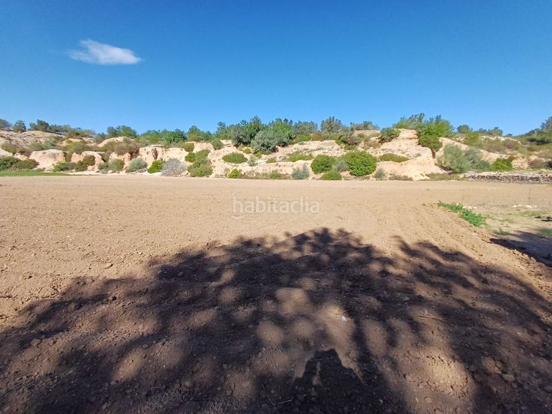 Foto 8317a447-d323-4e94-b926-1c4ae4607668. Finca rústica en vell de la galera en Vinallop Tortosa