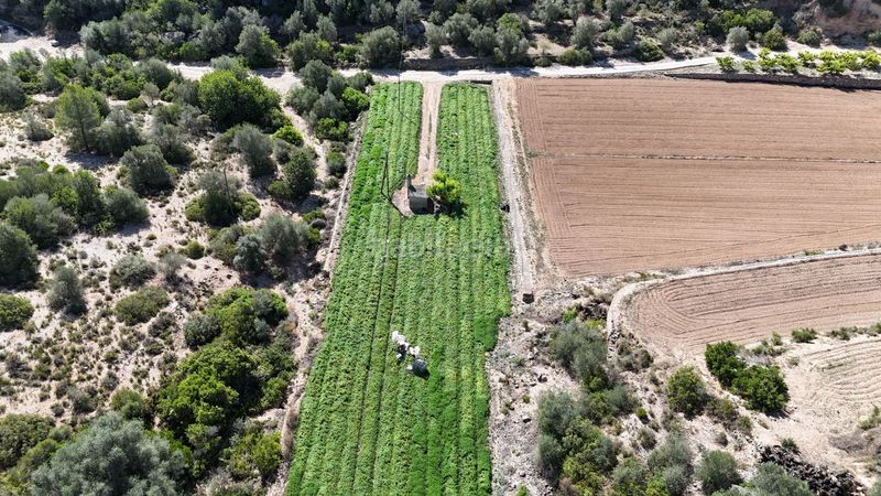 Foto 936ab280-3ff0-4361-89d6-3d90b85dd695. Finca rústica en vell de la galera en Vinallop Tortosa