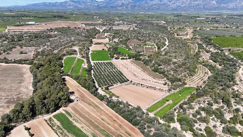 Foto 9acc6382-d409-4fd8-aa04-c93501f23fb4. Finca rústica en vell de la galera en Vinallop Tortosa