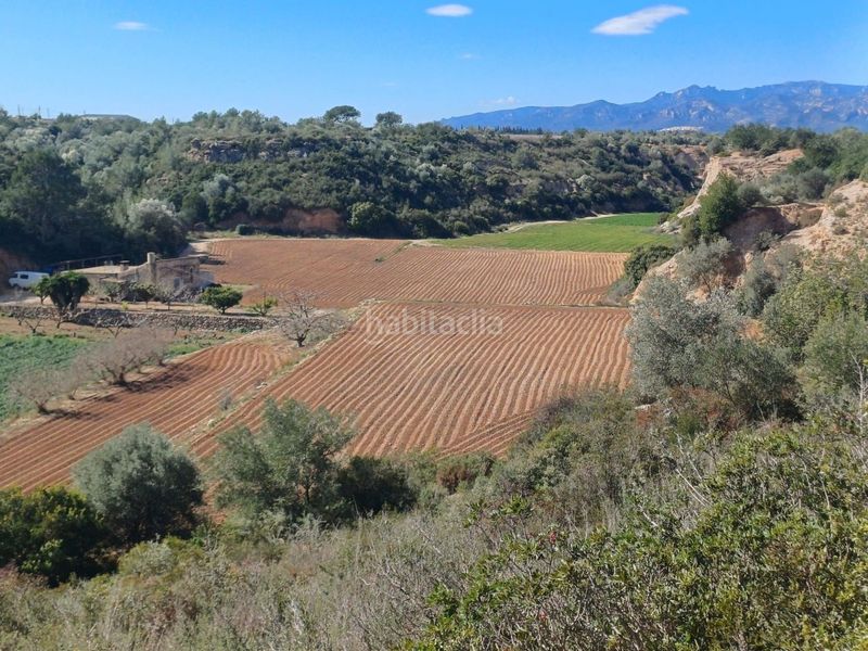 Foto 9b3e1ab4-6990-44d5-89b7-364887ff9653. Finca rústica en vell de la galera en Vinallop Tortosa