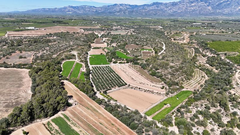 Foto a37a0d8c-ddf2-434a-bcc6-8a85528bf64a. Finca rústica en vell de la galera en Vinallop Tortosa
