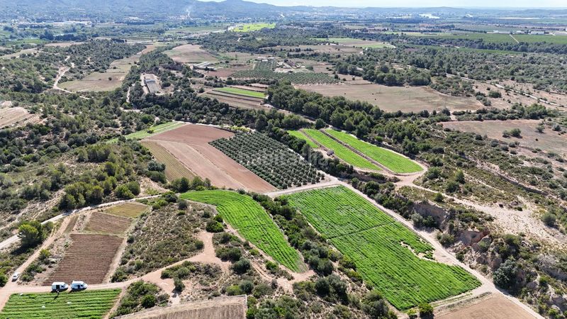 Foto b84749f0-03a4-4523-8491-76f5a76fe926. Finca rústica en vell de la galera en Vinallop Tortosa
