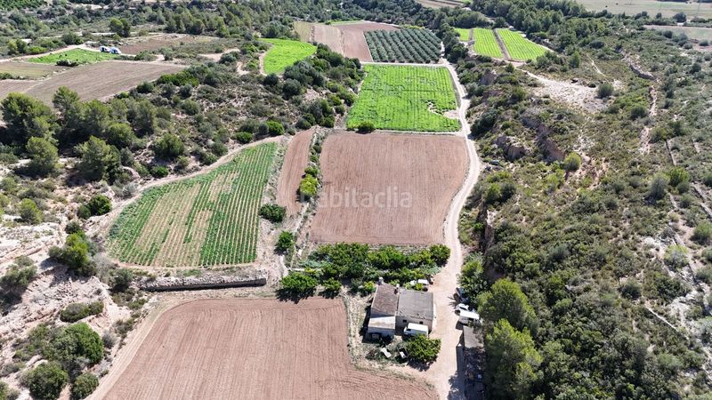 Foto c3947dda-6e49-4b45-a565-5acae2f7a368. Finca rústica en vell de la galera en Vinallop Tortosa