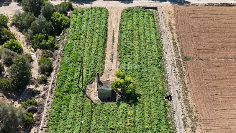 Foto c4d9999d-ed61-4a50-9f52-52d5e9e6aaed. Finca rústica en vell de la galera en Vinallop Tortosa