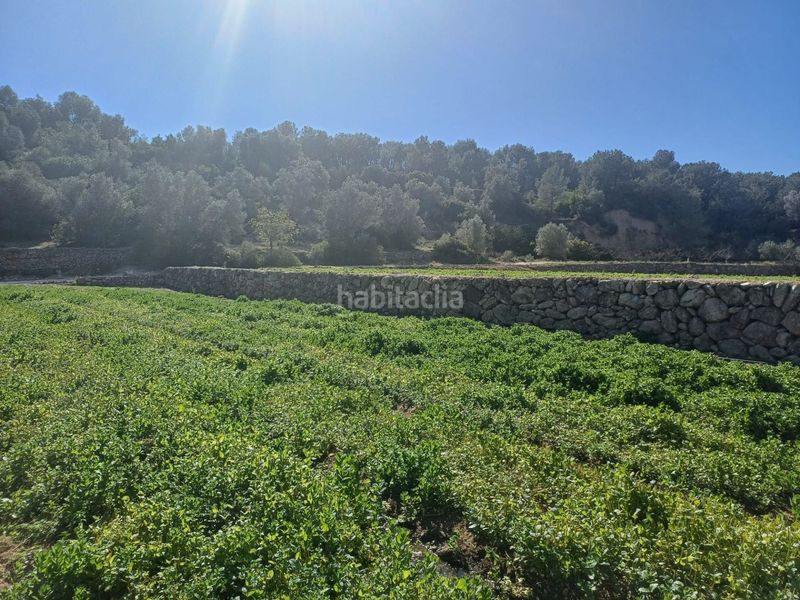 Foto c6129bad-d85e-470b-819d-1374bf5e8083. Finca rústica en vell de la galera en Vinallop Tortosa