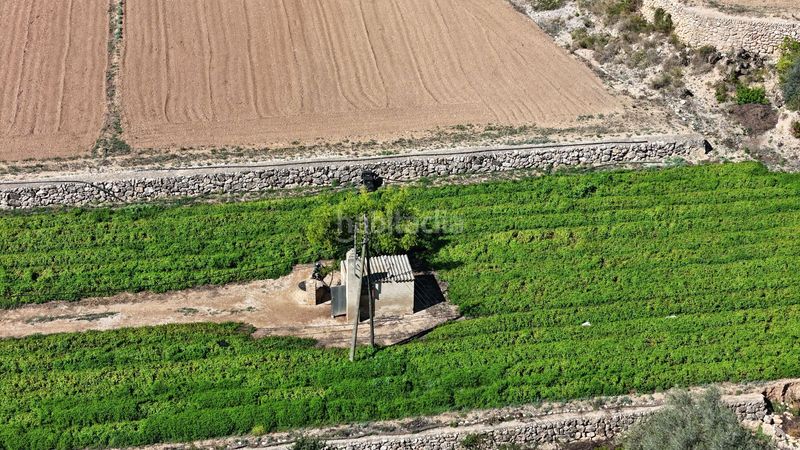 Foto e736968e-454c-4533-ab72-af98a4b76bf9. Finca rústica en vell de la galera en Vinallop Tortosa