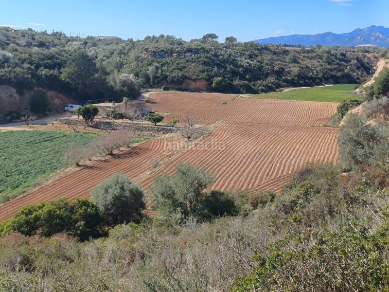 Foto e83a7257-6570-4007-b377-3126dce38e5a. Finca rústica en vell de la galera en Vinallop Tortosa