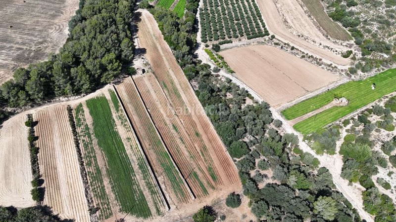 Foto efc2cb69-fdf6-4c89-995a-c2b0489ea17c. Finca rústica en vell de la galera en Vinallop Tortosa