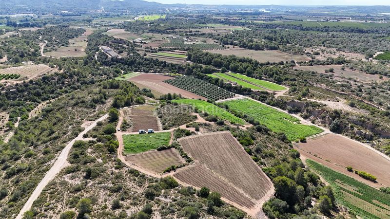 Foto ffa216d8-67e4-4460-9350-d145f88ab598. Finca rústica en vell de la galera en Vinallop Tortosa