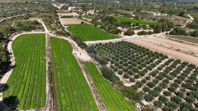 Foto ffcfdf49-d0bc-4bd6-a3ad-6de2fc88cb27. Finca rústica en vell de la galera en Vinallop Tortosa