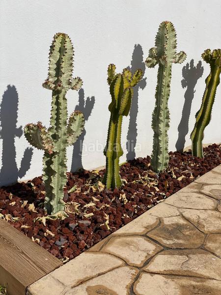 Foto 5086d2c1-49b0-4163-b0c4-c45ae6137e1f. Maison dans partida encanyissada 8 dans Eucaliptus - Poble Nou del Delta Amposta