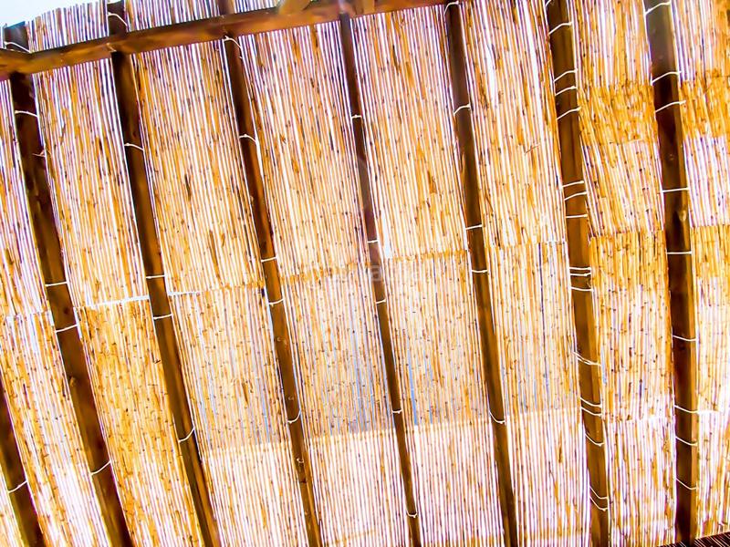 Foto 8473d36e-28dc-4482-84b7-8cb260c2cf7f. Maison dans partida encanyissada 8 dans Eucaliptus - Poble Nou del Delta Amposta