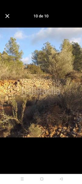 Foto 1fbfcb11-ab52-4636-a353-fdc70bc86f03. Finca rústica a de la masada a Bítem Tortosa