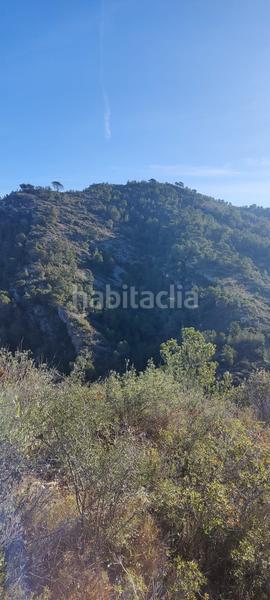 Foto 53df31ca-2455-4f4a-a1ad-15f1b4e24301. Finca rústica a de la masada a Bítem Tortosa