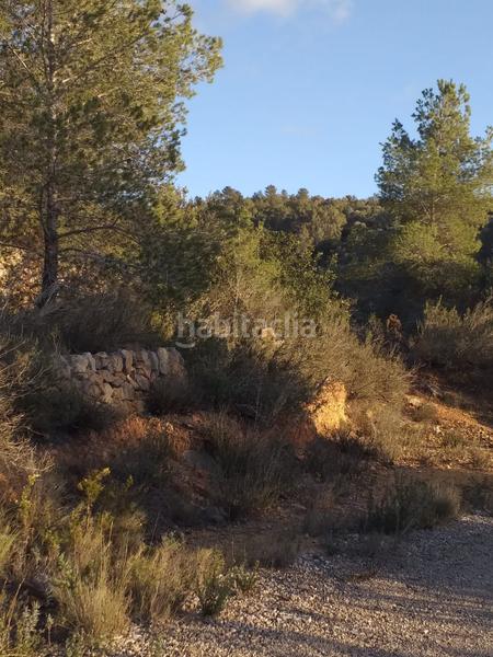 Foto 9362ff1c-e97b-4660-841f-e89451a20408. Finca rústica a de la masada a Bítem Tortosa