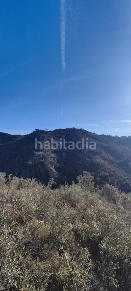 Foto afffbf1a-0a36-4672-b1a3-5826608e7a4b. Finca rústica a de la masada a Bítem Tortosa