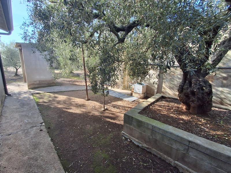 Foto 3dadff2f-0297-45d3-882a-d235c71b352d. Haus in de les codines de coleto 156 in Jesús - Els Reguers Tortosa